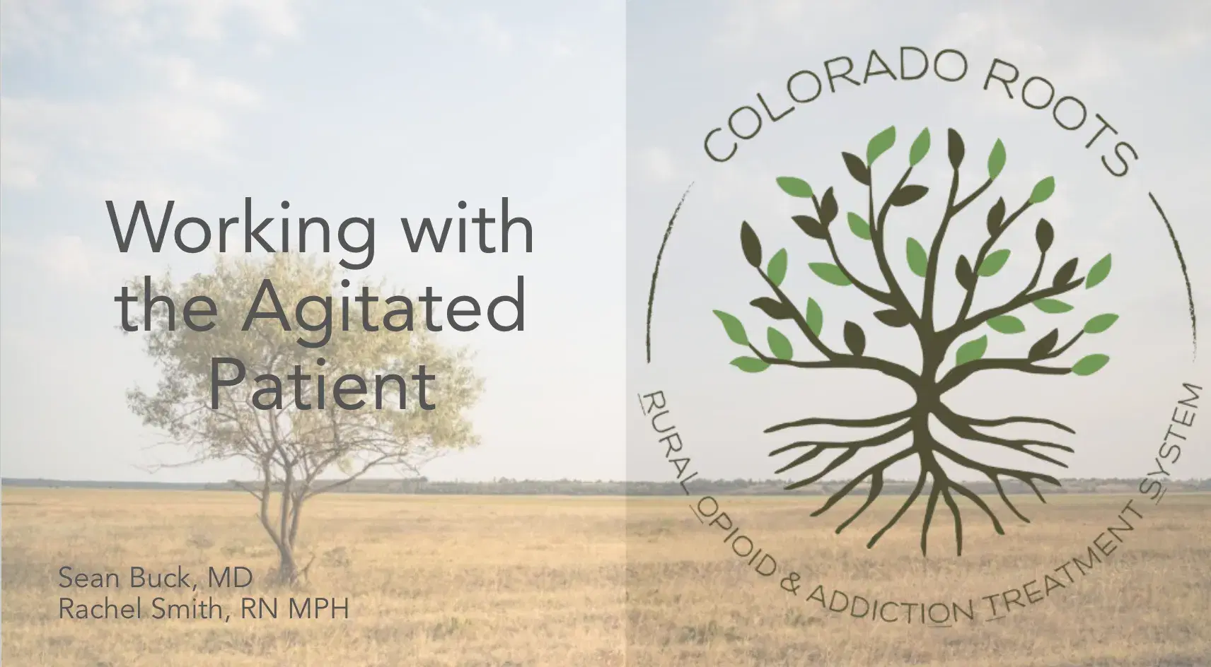 Working with the Agitated Patient